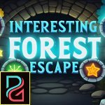 Pg Interesting Forest Escape