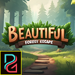 Beautiful Forest Escape
