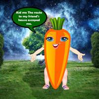 play Carrot Meet Her Friend