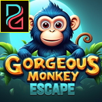 Pg Gorgeous Monkey Escape game
