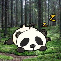 play G2R-Wakeup The Snooze Panda