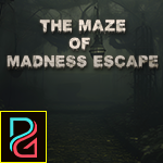 play Pg The Maze Of Madness Escape