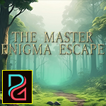 play Pg The Master Enigma Escape