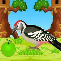 play Big-Escape From Parrot Jungle