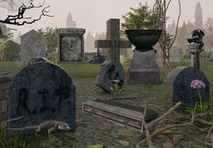 Mystery Graveyard