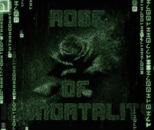 Rose Of Immortality