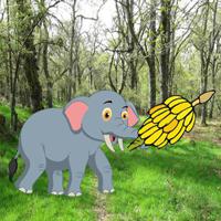 Wow-Feed The Little Elephant game