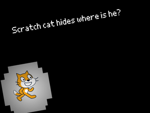 Scratch Cat Hides Where Is He?