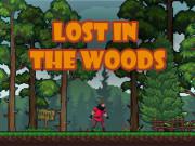 Lost In The Woods game