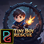 Pg Tiny Boy Rescue game